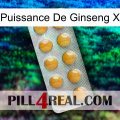 Ginseng Power X levitra1